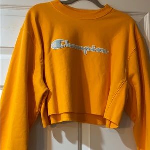 Champion cropped sweatshirt
